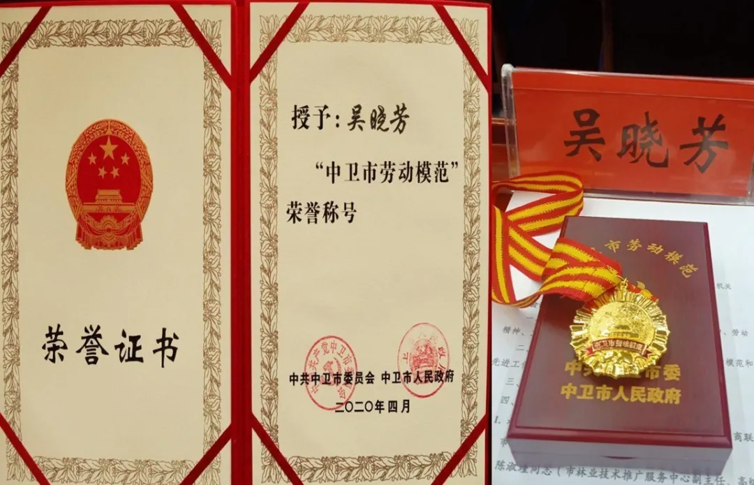 微信图片_20200429152926.png