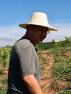 农业人叶涛，50多岁通讯人跨界搞农业，他要用1000万打造一个梦。